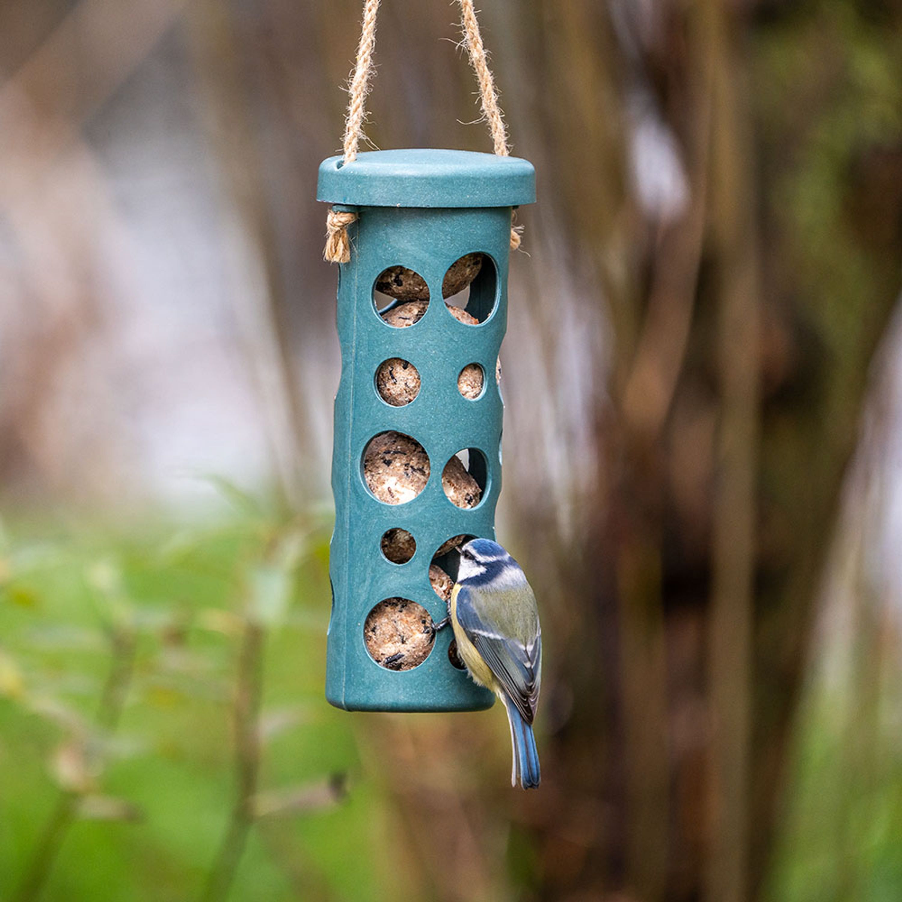 Meisenknödel-Halter Rom - blau | CJ Wildlife